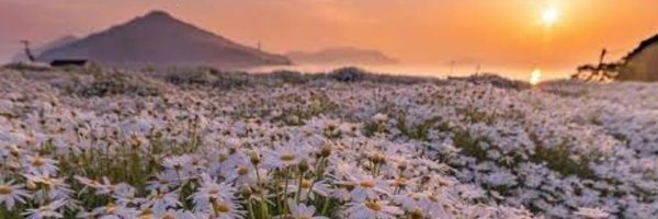 _zehrakrdnz_ Profile Banner