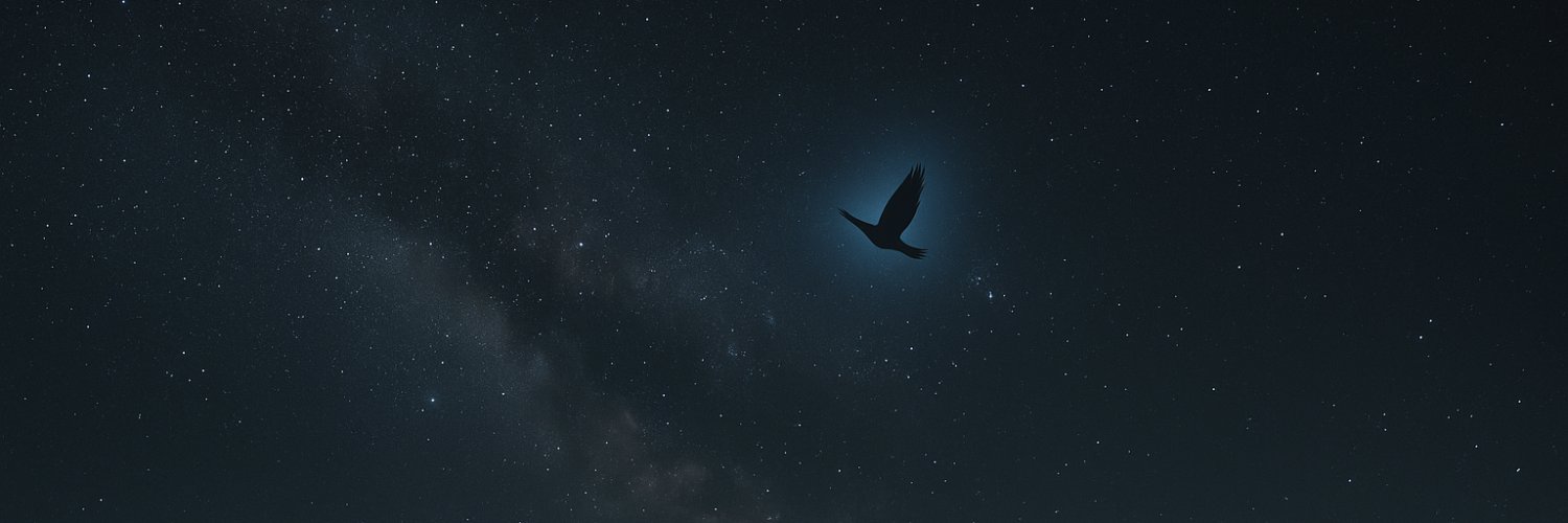 John X banner