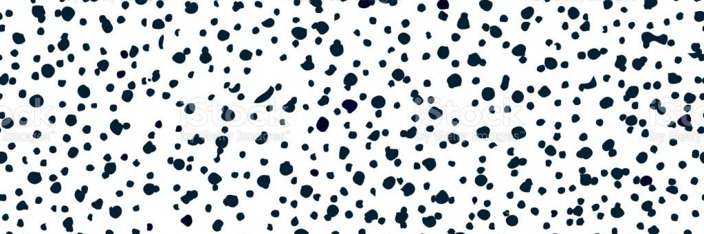 Miss Cassidy banner