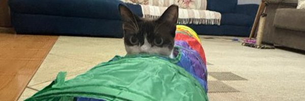 Kwieser00 Profile Banner