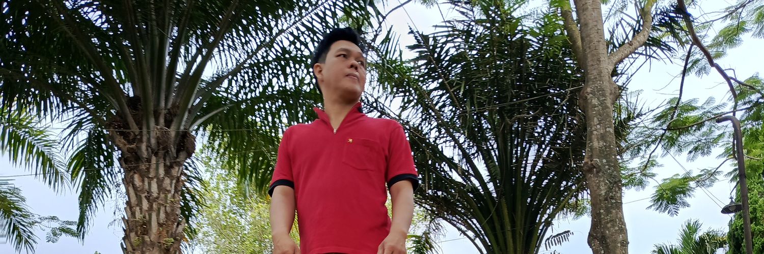 hansfriendly's profile banner image