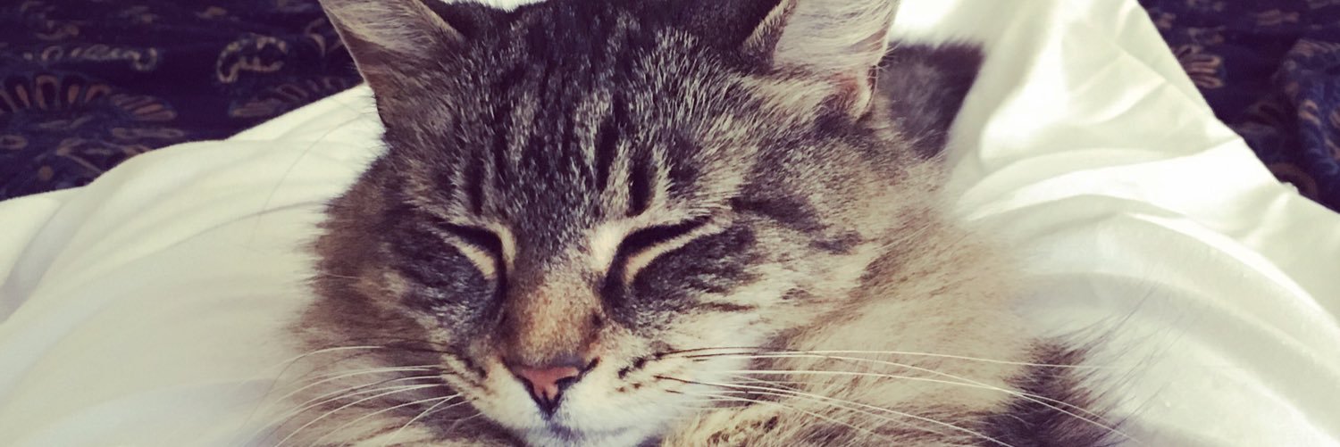 sarahhhbellaaa's profile banner image