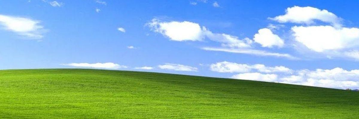 Guille banner
