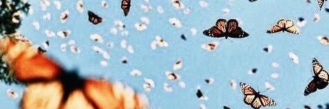 braykayyy's profile banner image