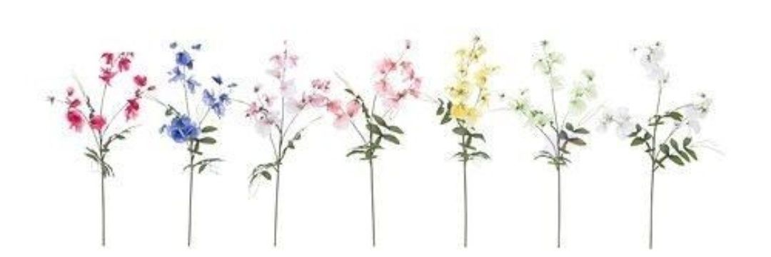 شذى banner