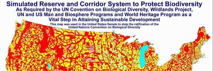 Globalistreason banner