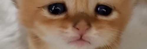 p0rn_addict45's profile banner image