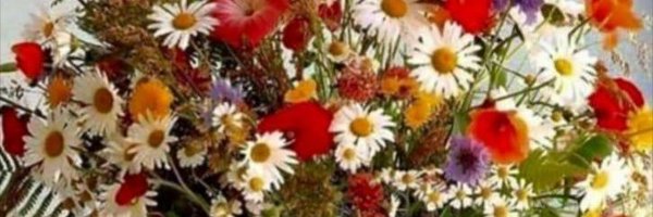 FullaAlkahtany Profile Banner