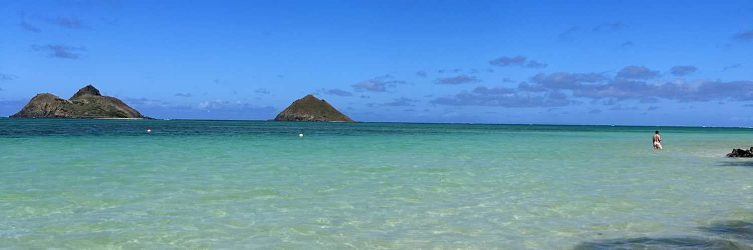 ninersyoubitch banner