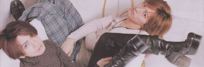 sun bleached flies banner