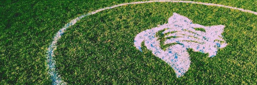 BatesWSOC's profile banner image