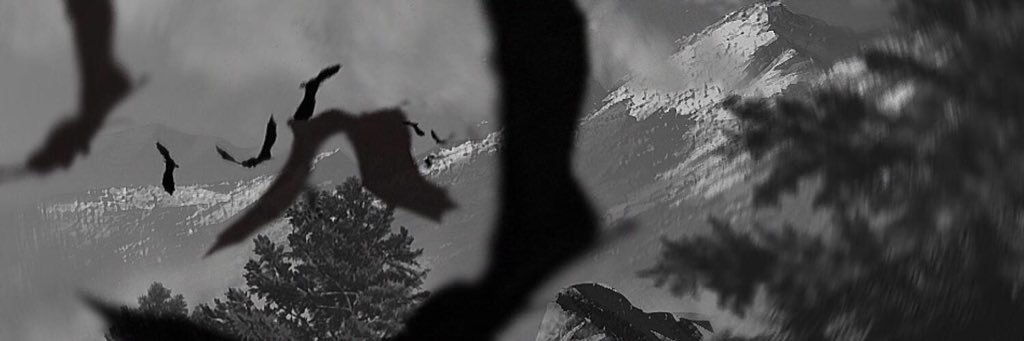 notdanmartin's profile banner image