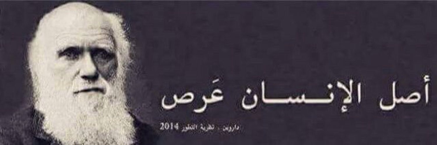 IAMWahm's profile banner image