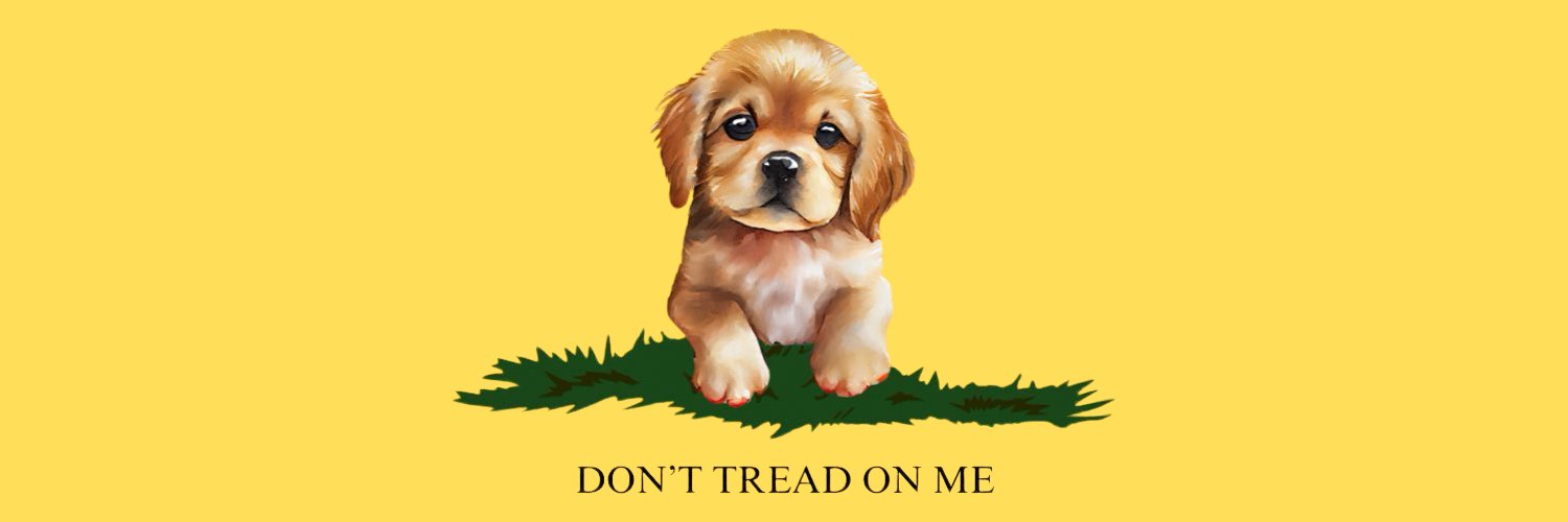 Joy Galt banner