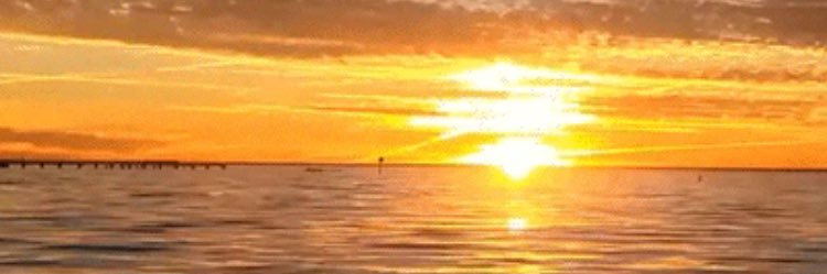 rob4984's profile banner image