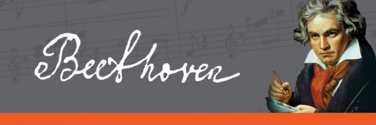 Daily Schroeder Felton's banner