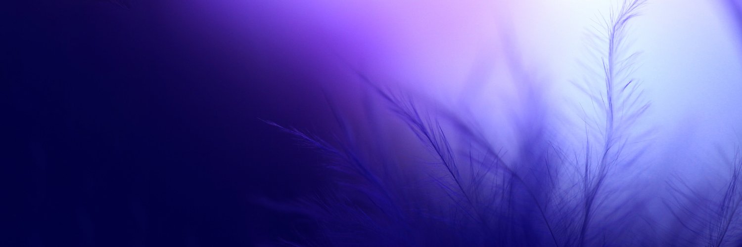 killernani's profile banner image