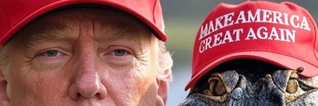 TenleyHemingway@gmail.com banner