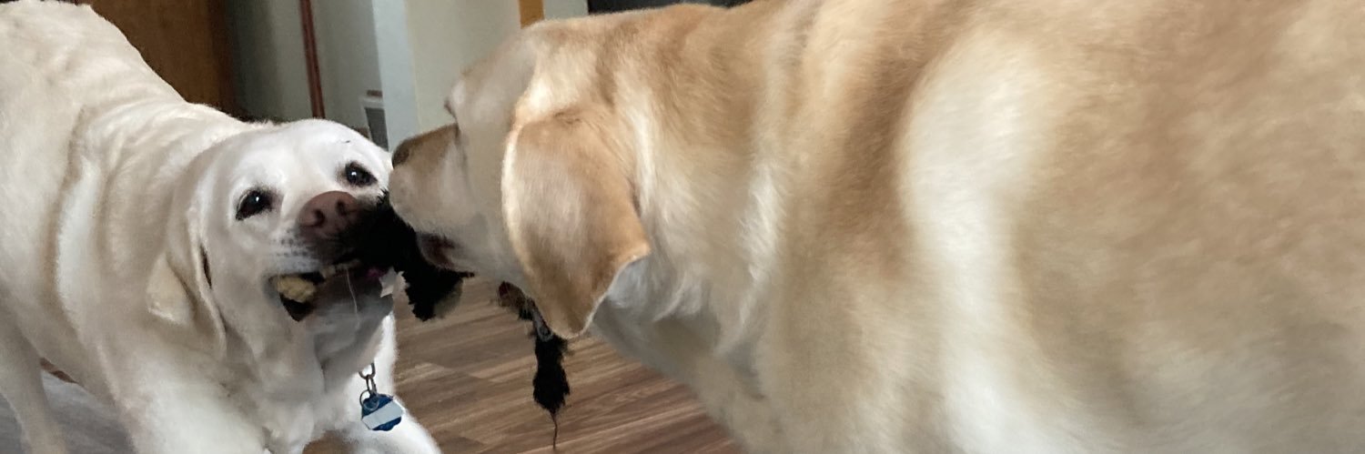 I am Lena’s mom banner