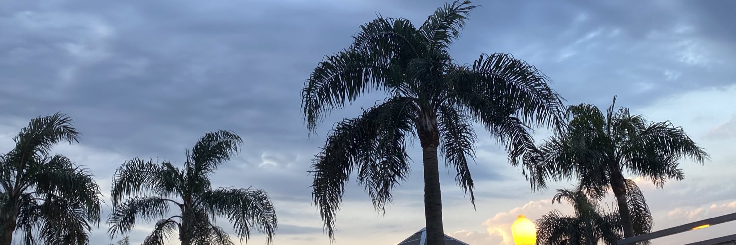 maluujacobsen's profile banner image
