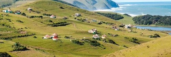 Ndo_Cala Profile Banner