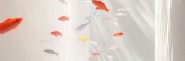 iiiiiiiifsh Profile Banner