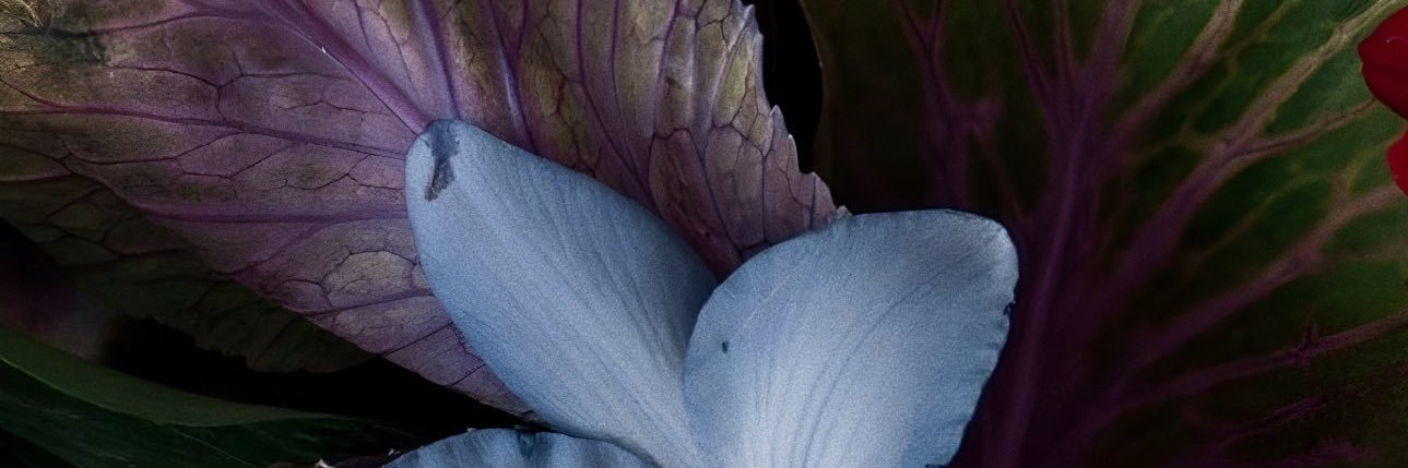 mullexo's profile banner image