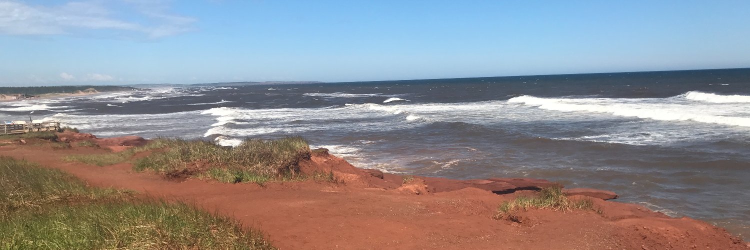 Mandie Bevels Dunn banner