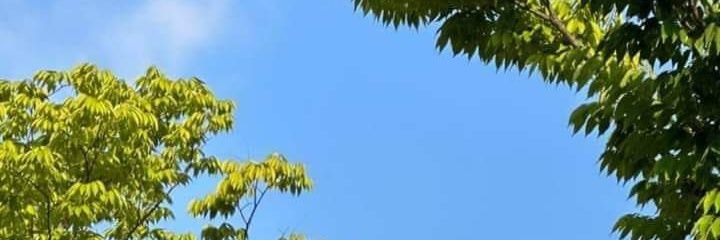 คู่แลกไม่แลกสวิงมือใหม่ banner