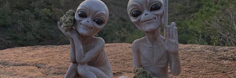 _geeko's profile banner image