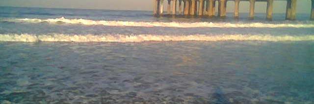 Rebecca Ann Dowty banner