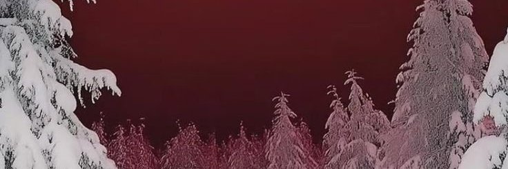 ⋮ 🜲┆CASEY banner