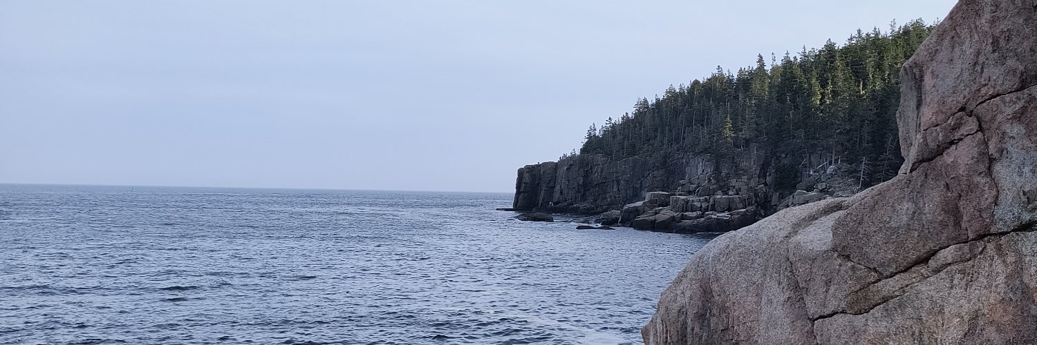 Richard Lyons banner