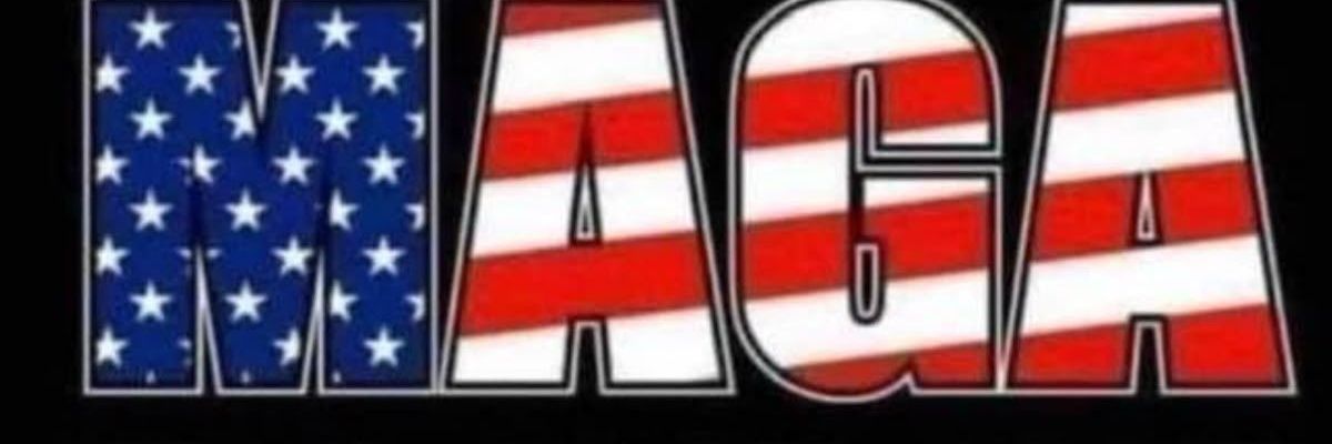 Ultra Nuclear MAGA Apu 🇺🇸's banner