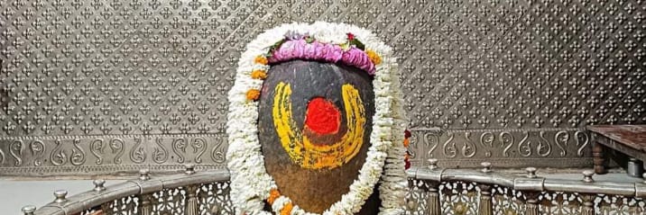 Anu Gurumaita's banner