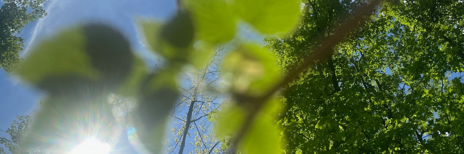 MagGoscini's profile banner image