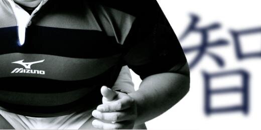 iRugby's profile banner image