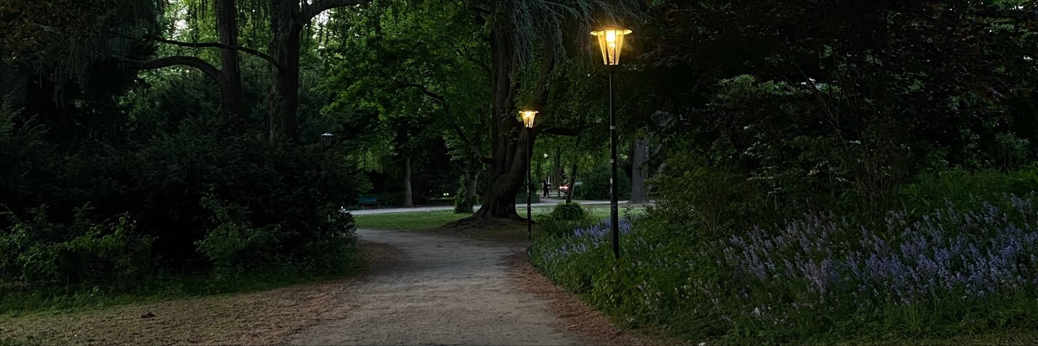 VANIiklu's profile banner image