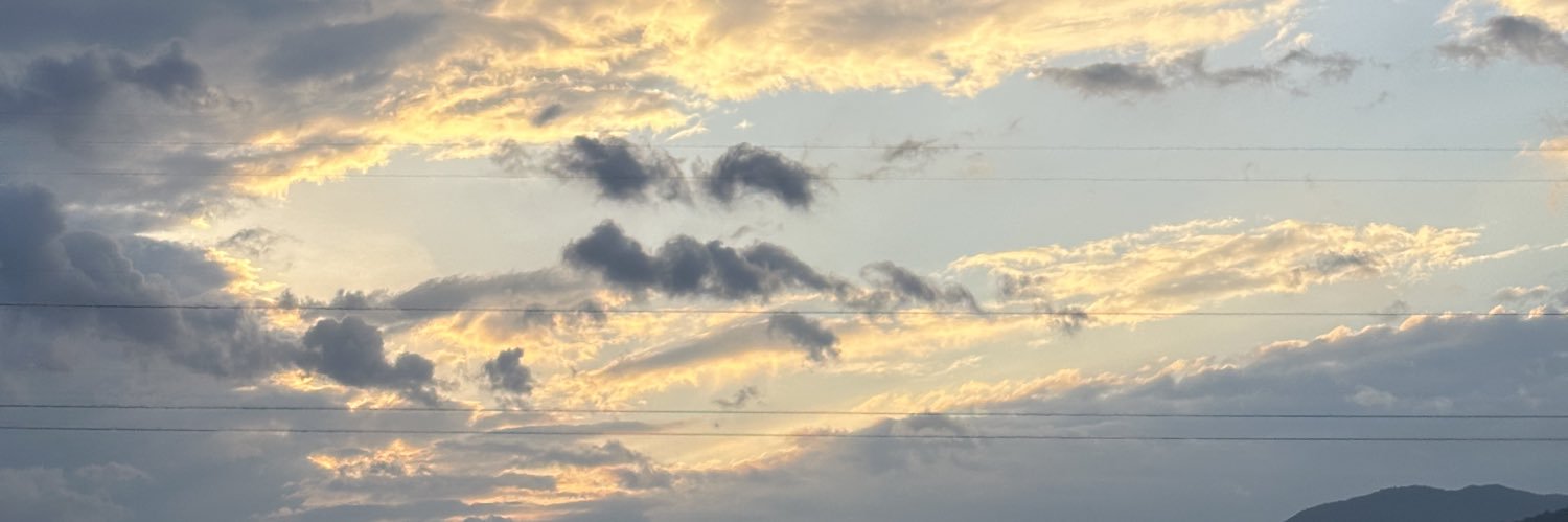 Linky banner