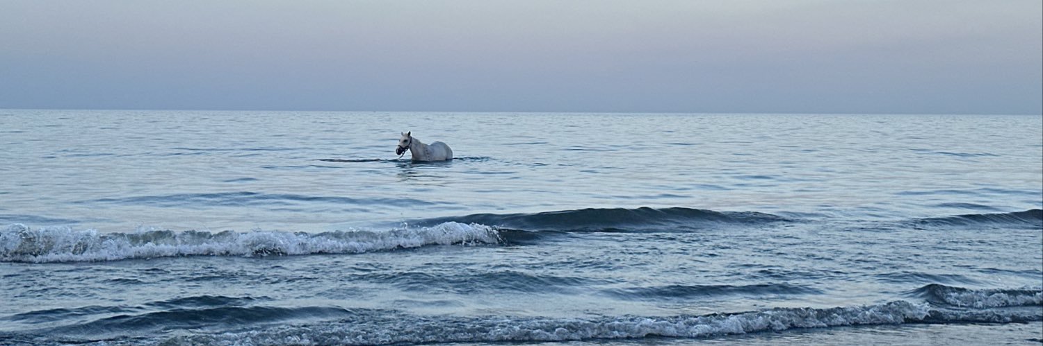 FA | 👩🏻‍⚕️ banner