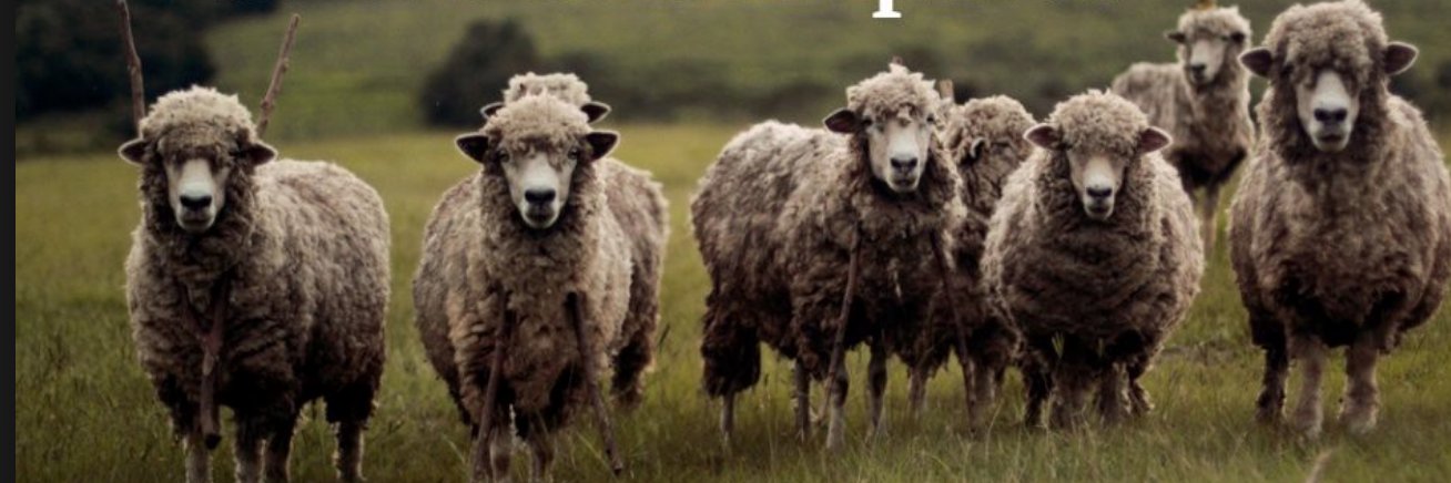 thenewsshepherd's profile banner image