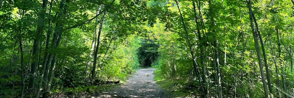 msmross Profile Banner