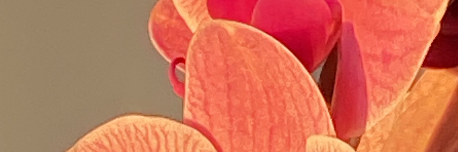 namelessfem's profile banner image