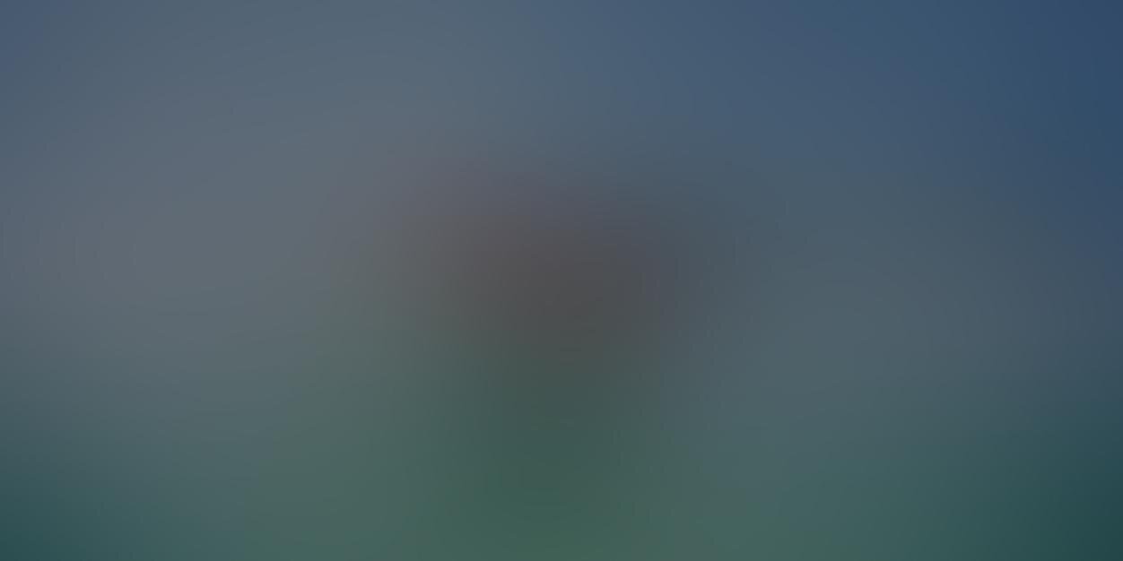 laparca's profile banner image