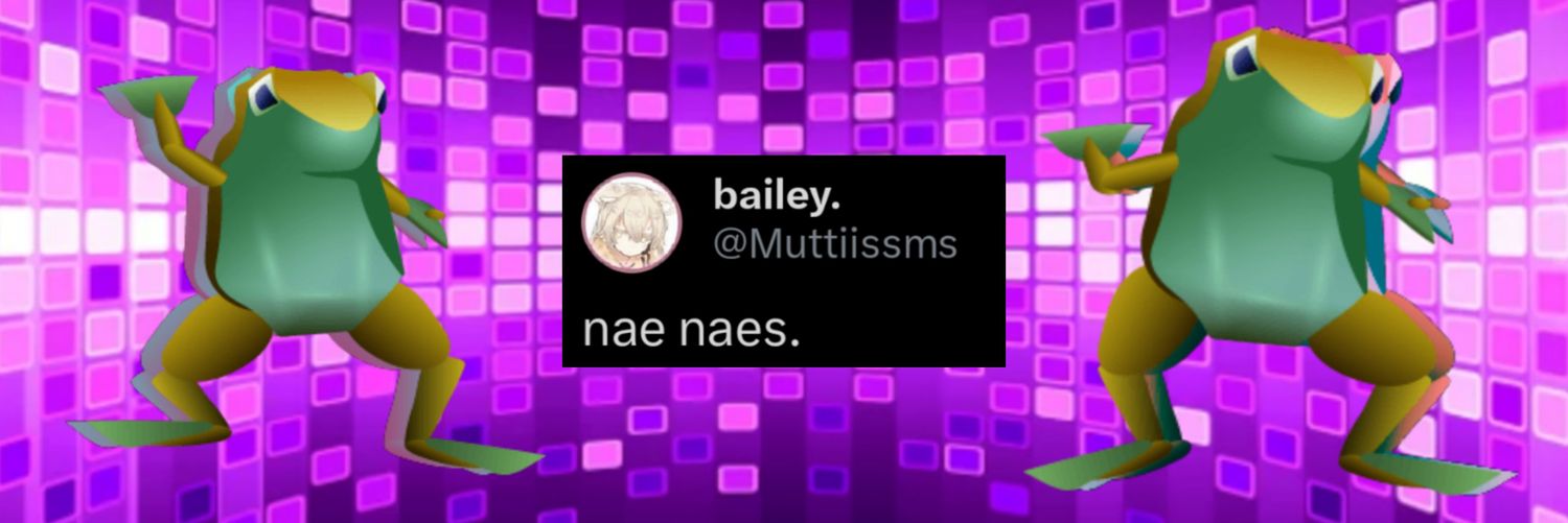 bailey. banner
