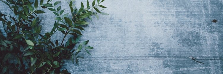 jam_burgey's profile banner image