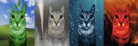 gorpcore's banner