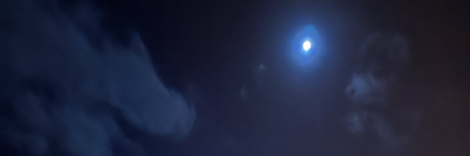 melihamorgil's profile banner image