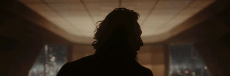 lara banner