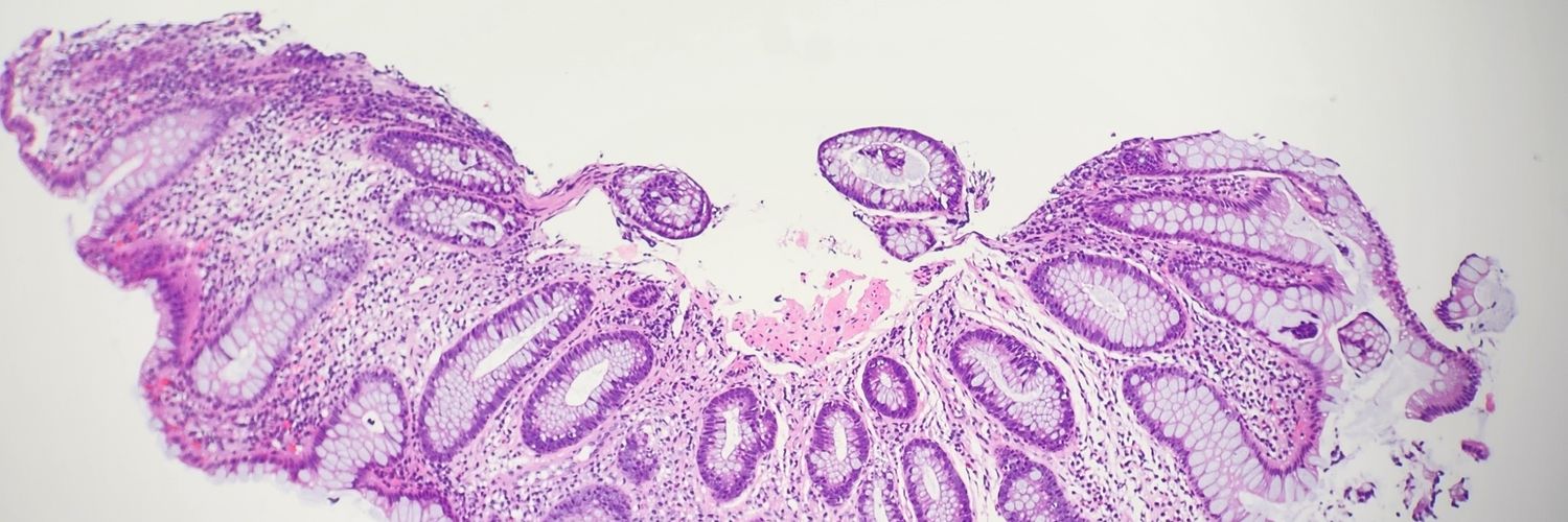 Rebecca Collins, M.D., FCAP banner